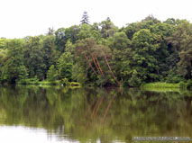 http://mycountry.com.ua/cat_main_photos/176/img_0066_2.jpg