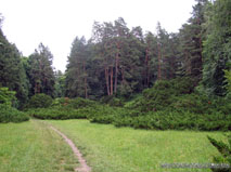 http://mycountry.com.ua/cat_main_photos/176/img_0070_2.jpg